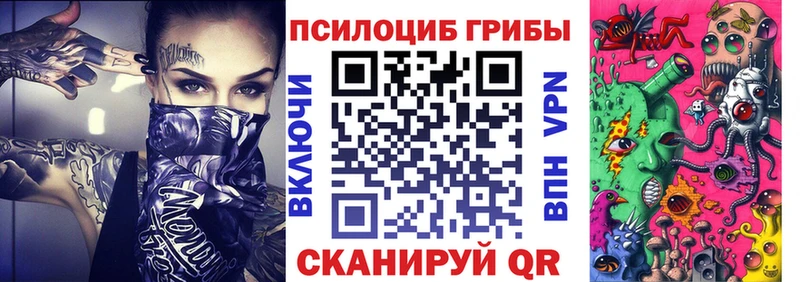 Купить  Вятские Поляны  Галлюциногенные грибы Psilocybine cubensis 